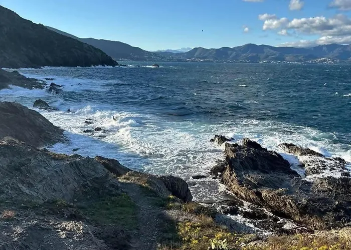 L'olivier * Bages (Pyrenees-Orientales)
